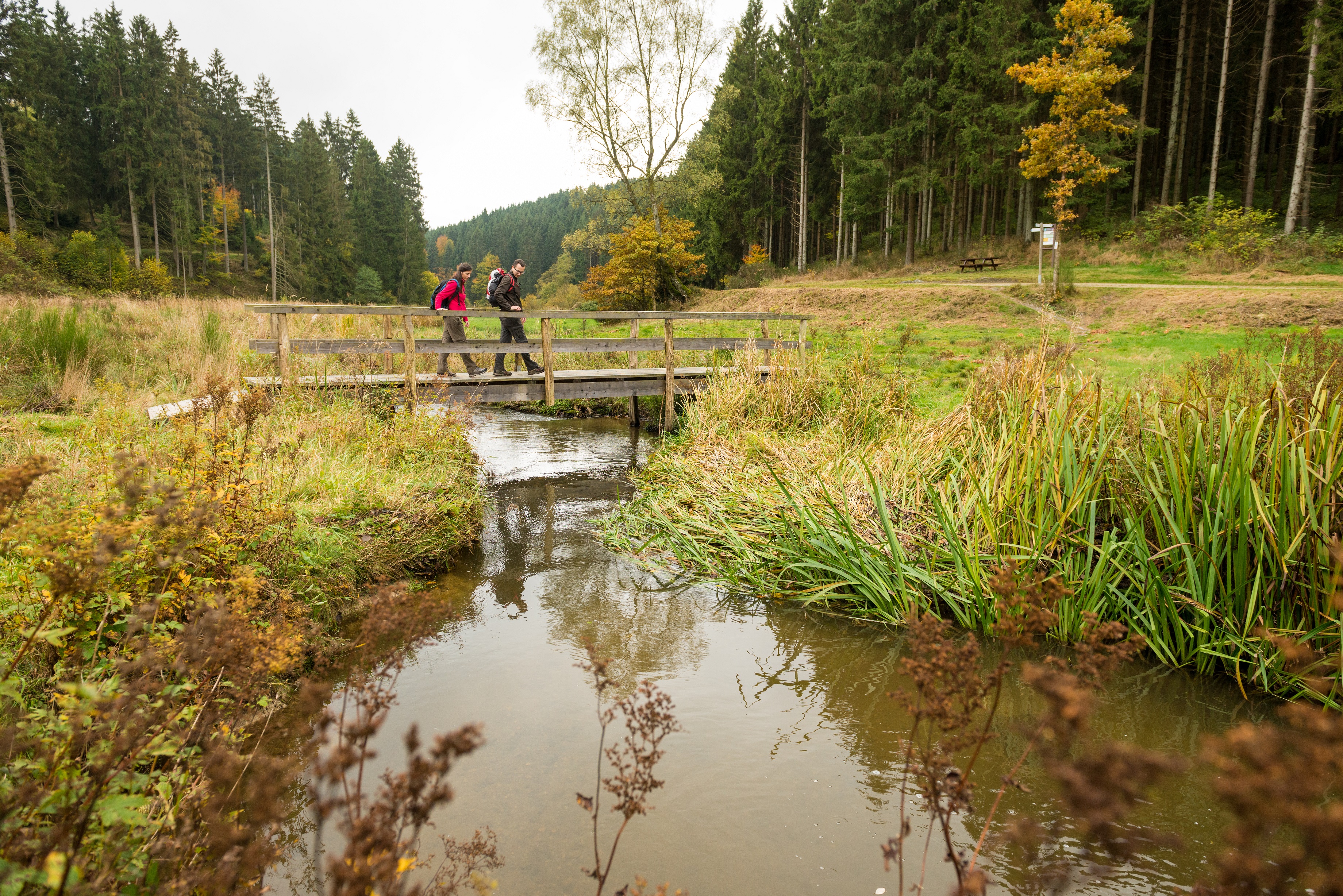 Traumschleifen Saar-Hunsrück (Rundwanderwege) | Hunsrück-Touristik